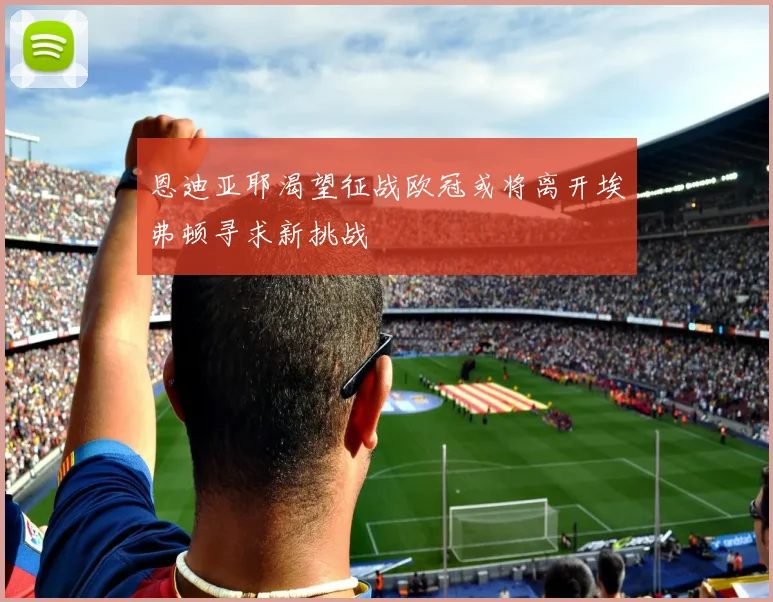 恩迪亚耶渴望征战欧冠或将离开埃弗顿寻求新挑战